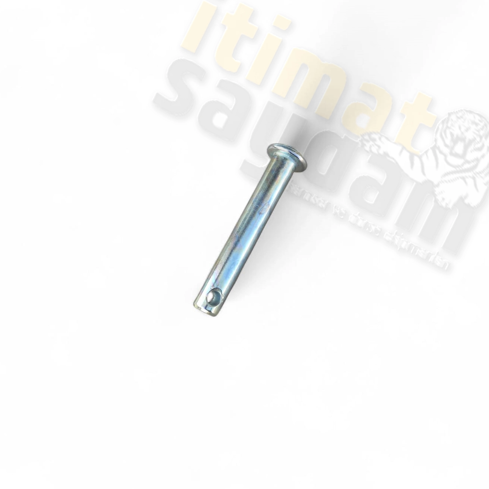 Ortakol%20Pimi%2019%20mm%20x%2013%20cm